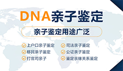 迪庆怀孕如何办理血缘检测最简单方便，迪庆怀孕亲子鉴定要多少钱